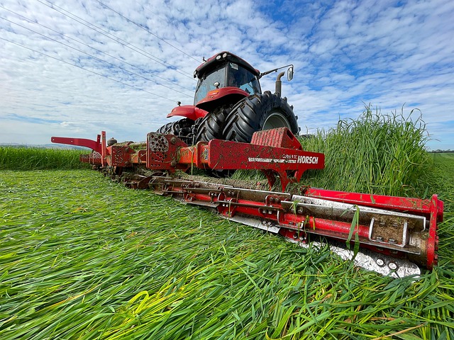 Agro, Pășune, Tractor, Rostogolire