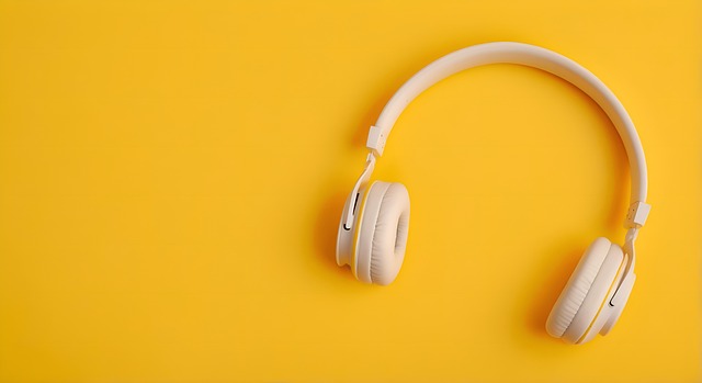 Free headphones earphones headset illustration