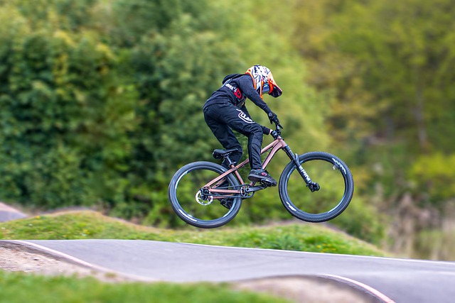 Free Bike Stunt photo and picture