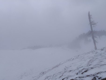 Invierno, Nieve, Naturaleza, Nevado