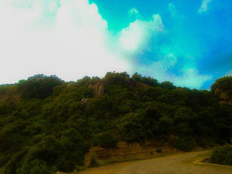 Colina, Árbol, Naturaleza, Paisaje
