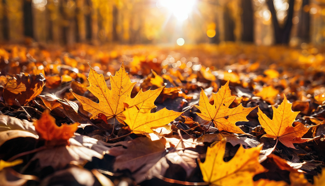 Free fall sheets foliage illustration