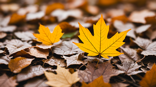 Free ai generated leaves autumn illustration