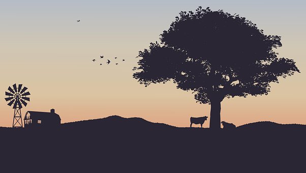 Landschaft, Mühle, Natur, Energie