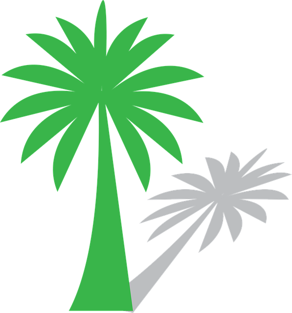 Free Date Tree Green Tree vector and picture