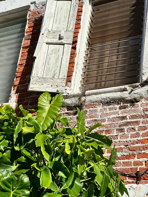Free Brick Fauna photo and picture