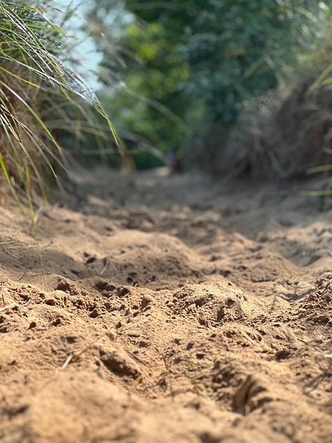Free Sand Dunes photo and picture