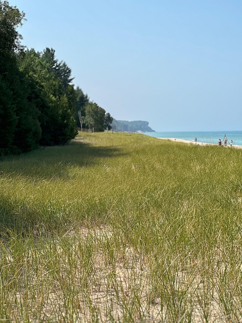 Free Sand Beach photo and picture