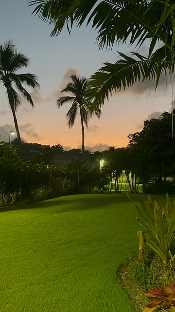 Free Tropical Island photo and picture