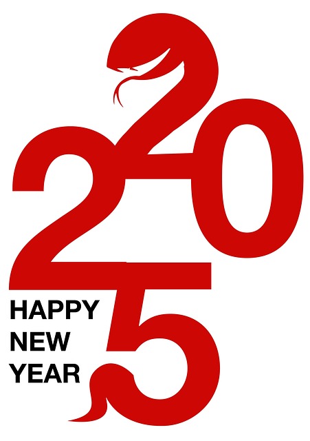 An Nou Fericit, Anul Nou 2025