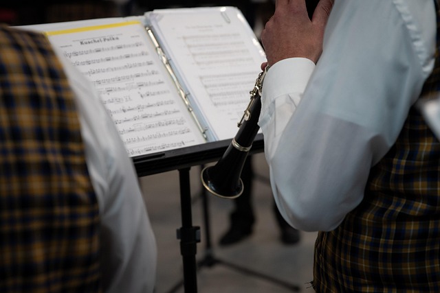 Música, Melodia, Instrumento, Show