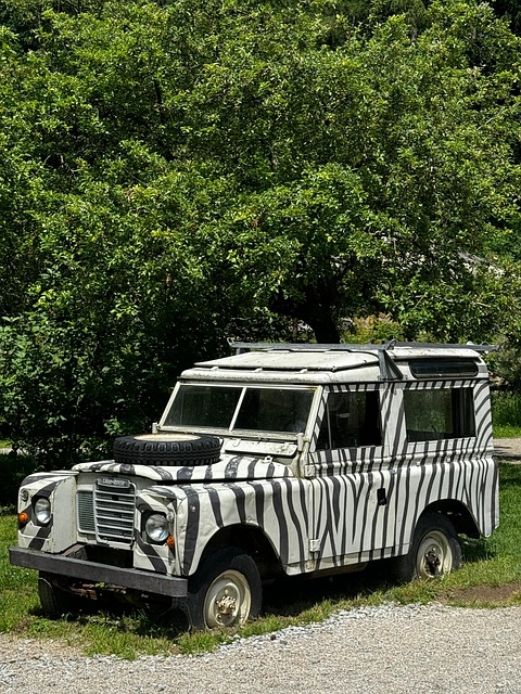 Free Jeep Car photo and picture