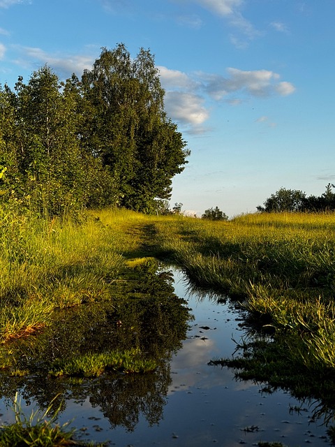 Free Nature Spring photo and picture
