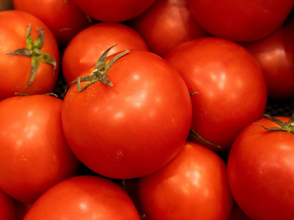 Is It Tomato A Fruit Or A Vegetable