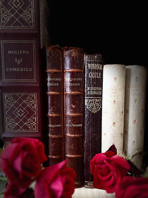 Bok, Antikvarisk, Litteratur, Bokhylle