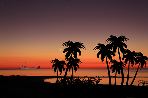 Eiland, Strand, Palmbomen, Silhouet