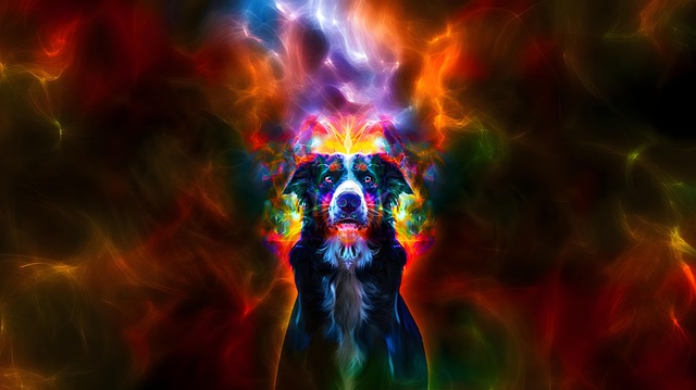 Free red yellow blue illustration