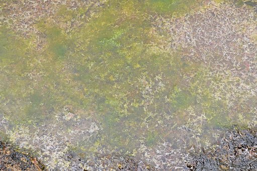 Free Water Nature photo and picture