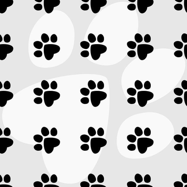 Download Cat Paws Fingerprints Dog Paws Royalty Free Vector Graphic download-cat-paws-fingerprints-dog-paws-royalty-free-vector-graphic