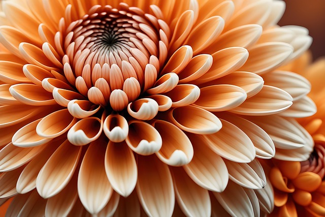 Free ai generated flower floral background illustration