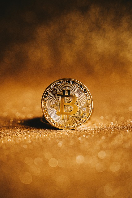 Bitcoin, Kryptoměna, Peníze, Schéma