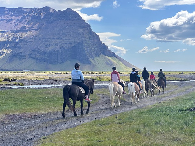 Tur, Rejser, Hest, Ridning, Natur
