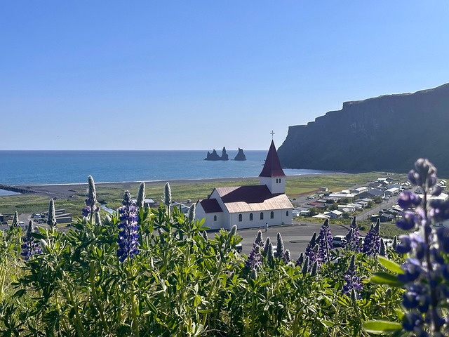 Vik, Island, Natur, Landskab, Landsby