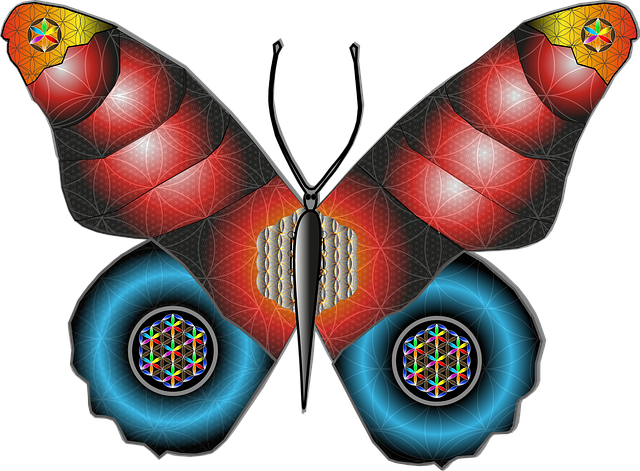 Schmetterling, Prim, Feminin, Zeichnung