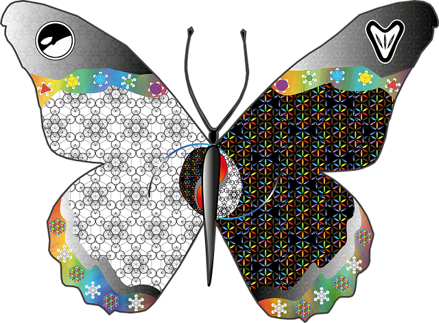 Schmetterling, Schwarz Und Weiß