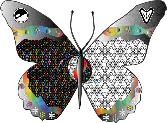 Schmetterling, Reisender Orca