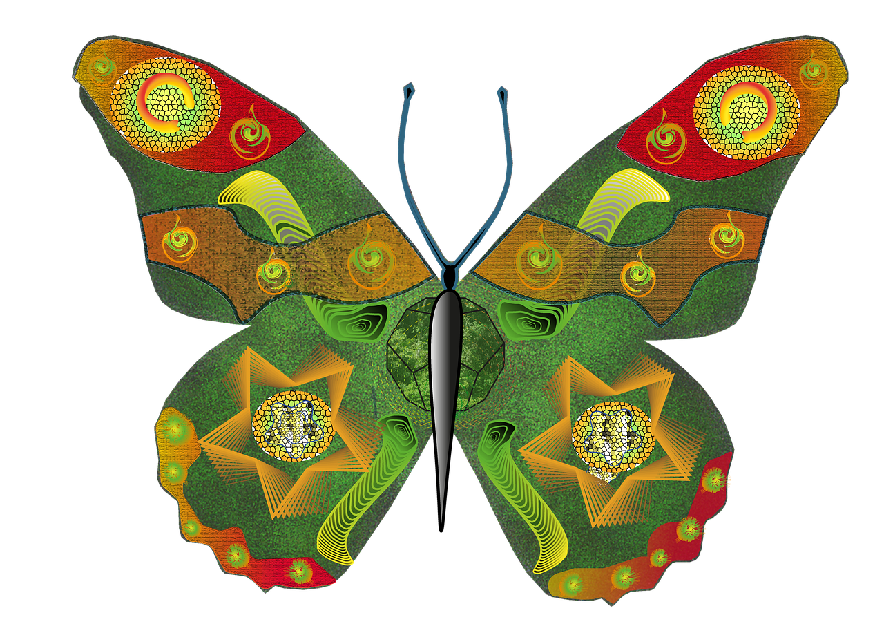 Download free HD stock image of Butterfly Illustration Free butterfly illustration shapes and textures illustration