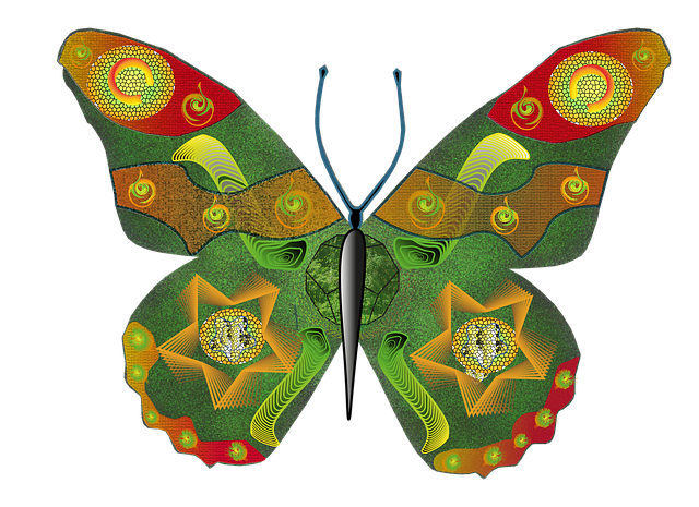 Schmetterling, Illustration