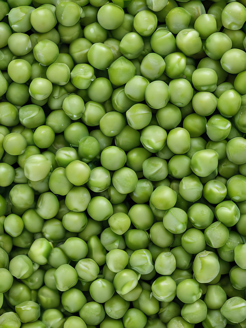 Free peas food nature illustration