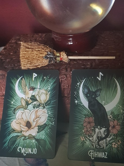 Tarot, Okkult, Synsk, Kort, Formue