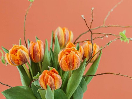Free Beautiful Flower photo and picture