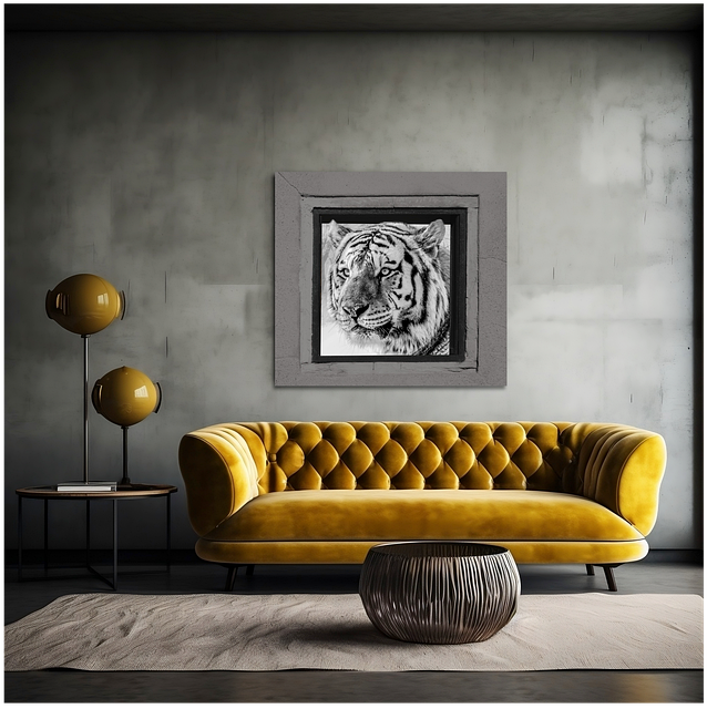 Free sofa siberian tiger space illustration