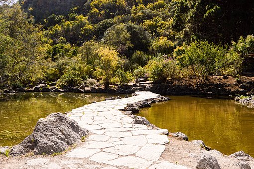 Free Pond Nature photo and picture