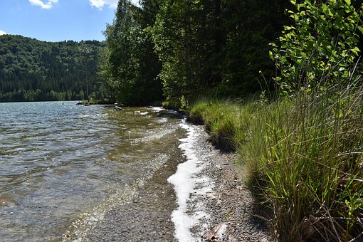Free Lake Shore photo and picture
