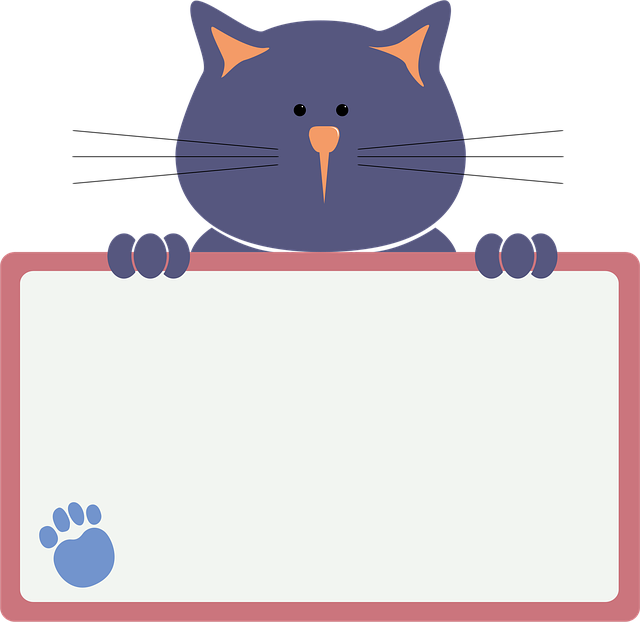 Gato, Letrero, Cartel, Animal, Mascota