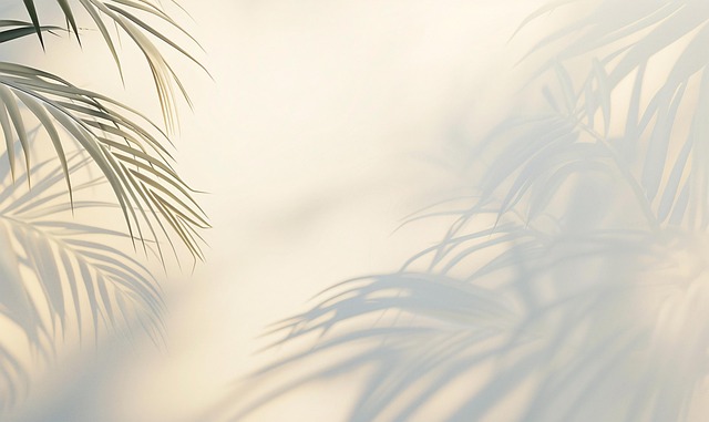 Download free HD stock image of Shadows Palm Leaves Free shadows palm leaves light background illustration