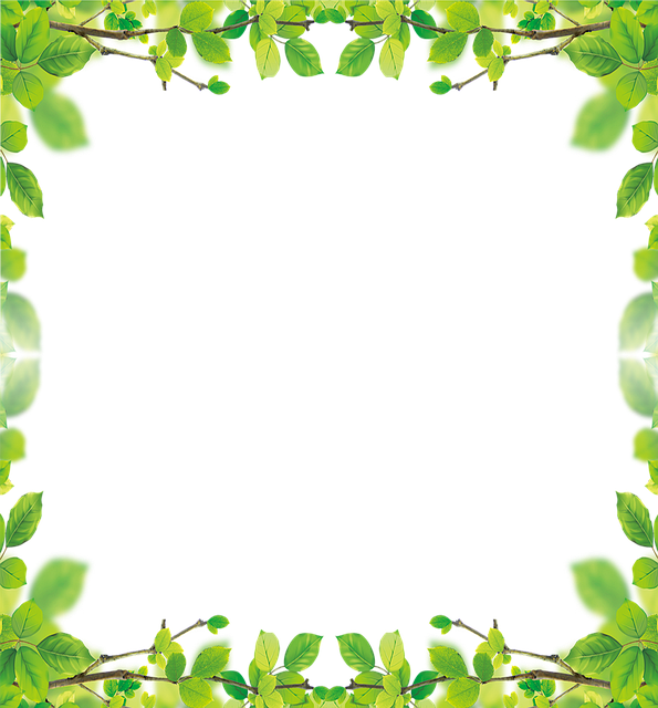 Free frame border window illustration