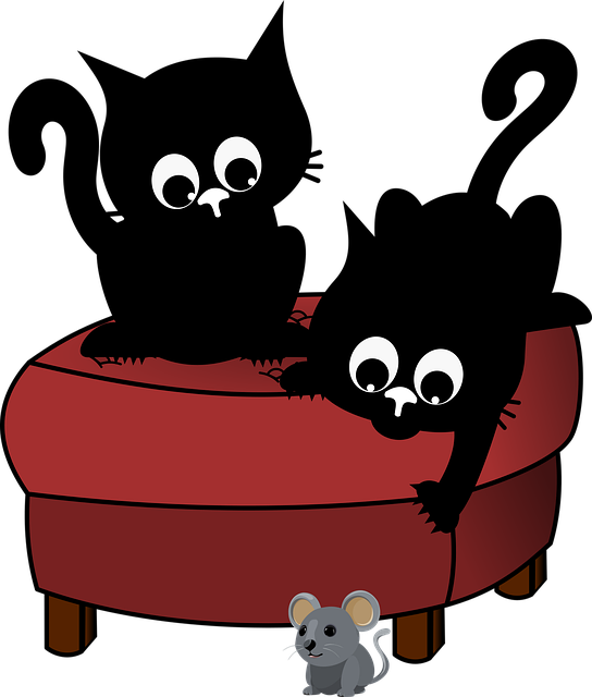 Free cat kitten black cat vector