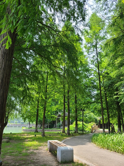 Garten, Weg, Antikes Gebäude, Pavillon