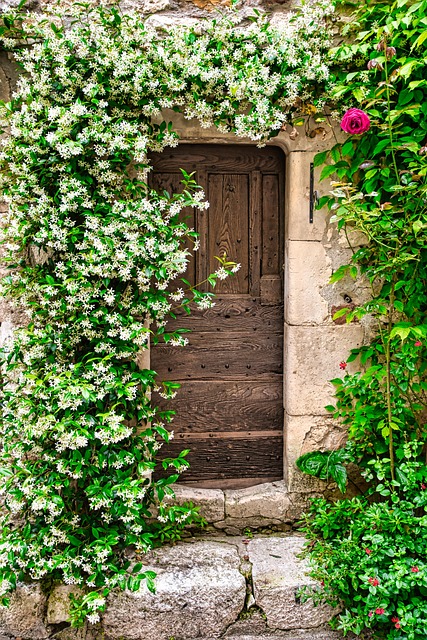 Free Door Lock photo and picture