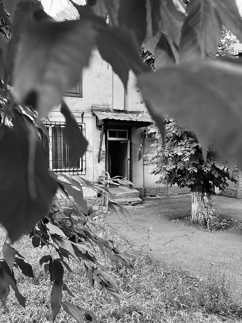 Straße, Garten, Leben, Slums, Natur