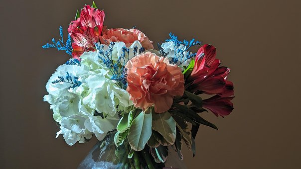 Sommer Buket, Blomster, Ferskennelliker