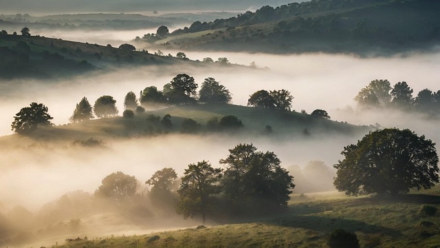 Free misty morning tranquil scene rolling hills illustration