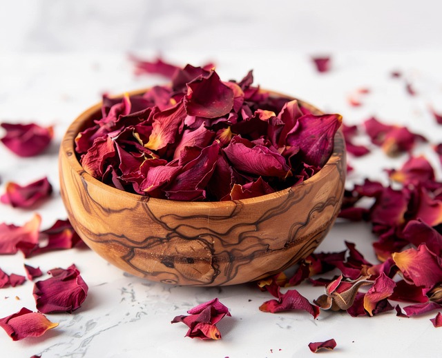 Free rose red petals illustration