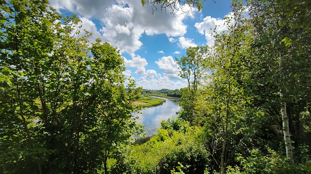 Naturaleza Río Árboles - Foto gratis en Pixabay - Pixabay
