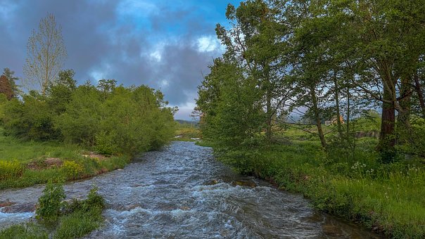 Free Lush Green photo and picture
